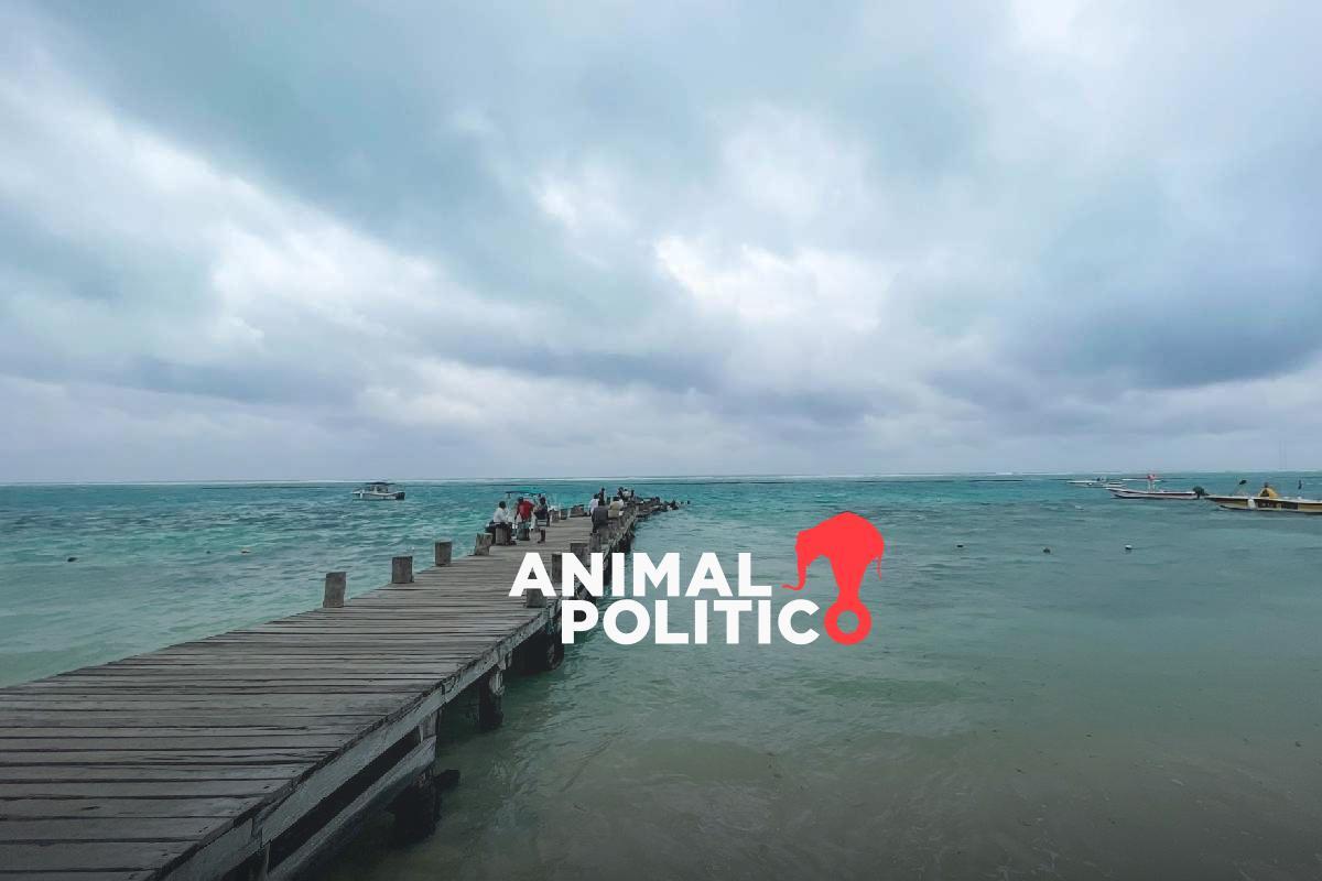 Megaproyecto de Royal Caribbean tendrá daños permanentes en playa pública de Cozumel; advierten afectaciones a manglares