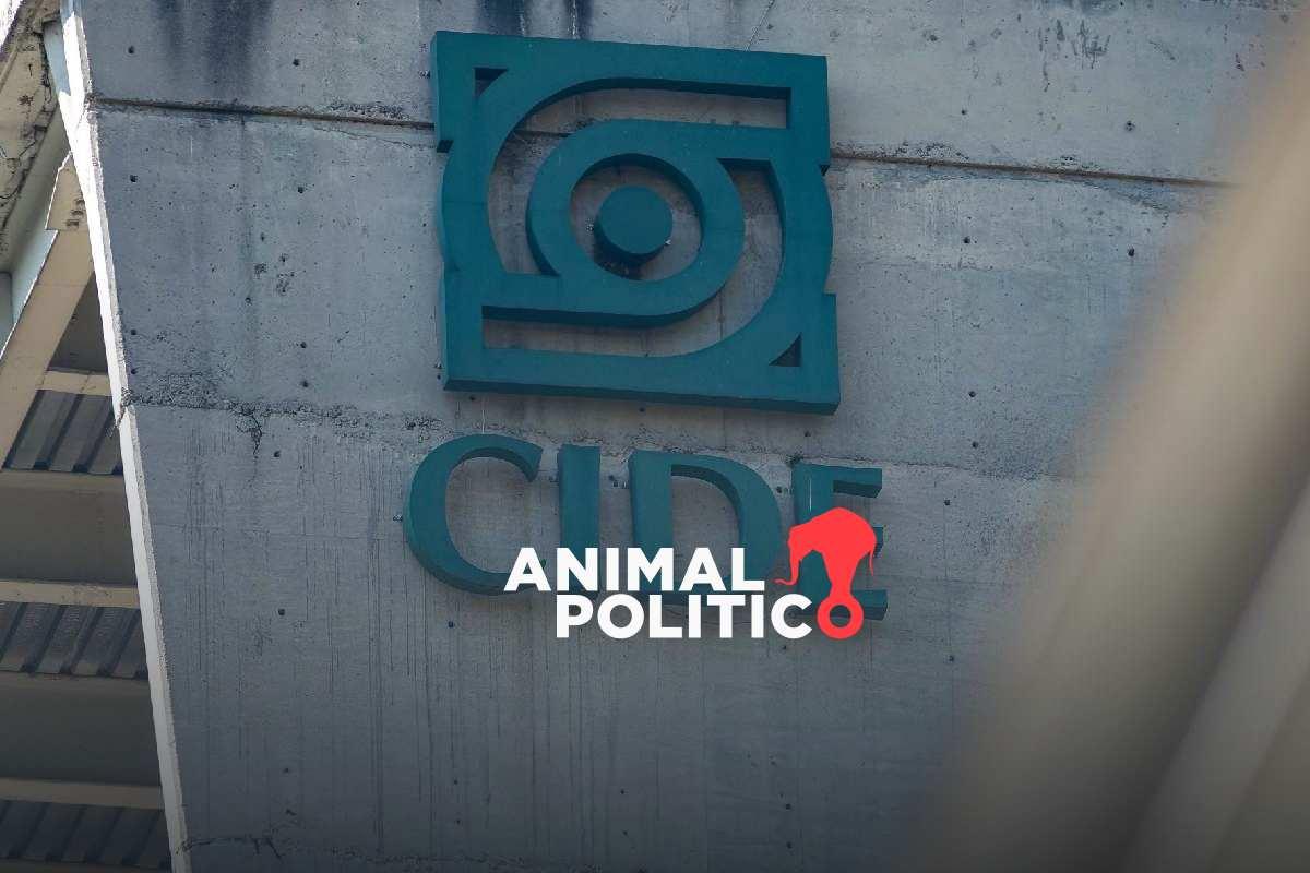 Destitución de Romero Tellaeche del CIDE fue decisión de la Secretaría de Ciencia, dice Sheinbaum; llama a erradicar elitismo