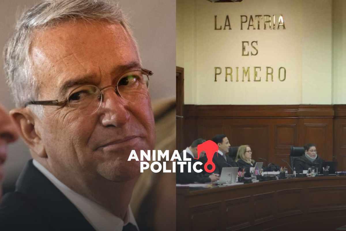 Total Play, propiedad de Salinas Pliego, se desiste de último amparo en la Corte por adeudo de 645 mdp