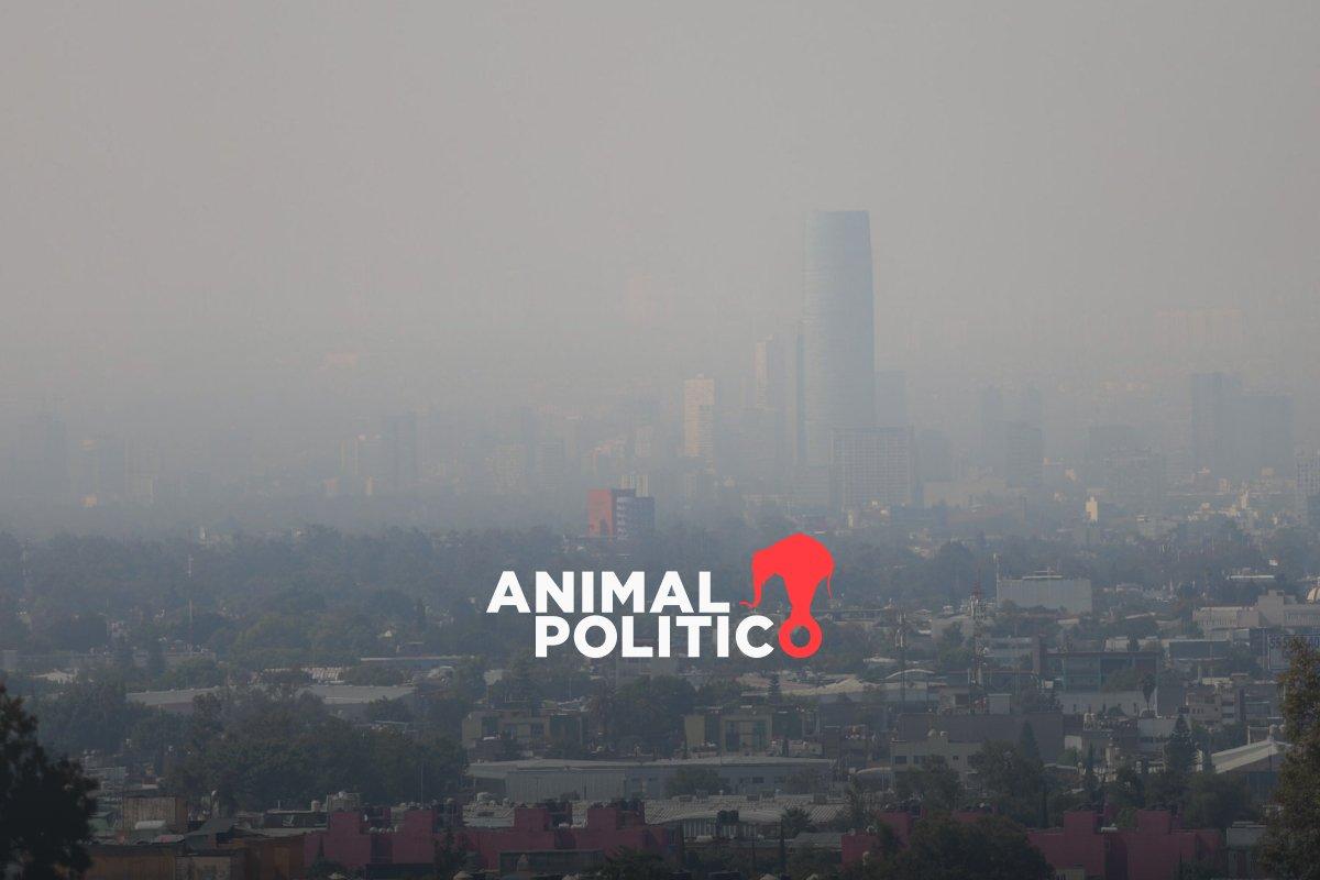 Se mantiene contingencia ambiental por ozono en el Valle de México: estos autos no circulan el 9 de enero