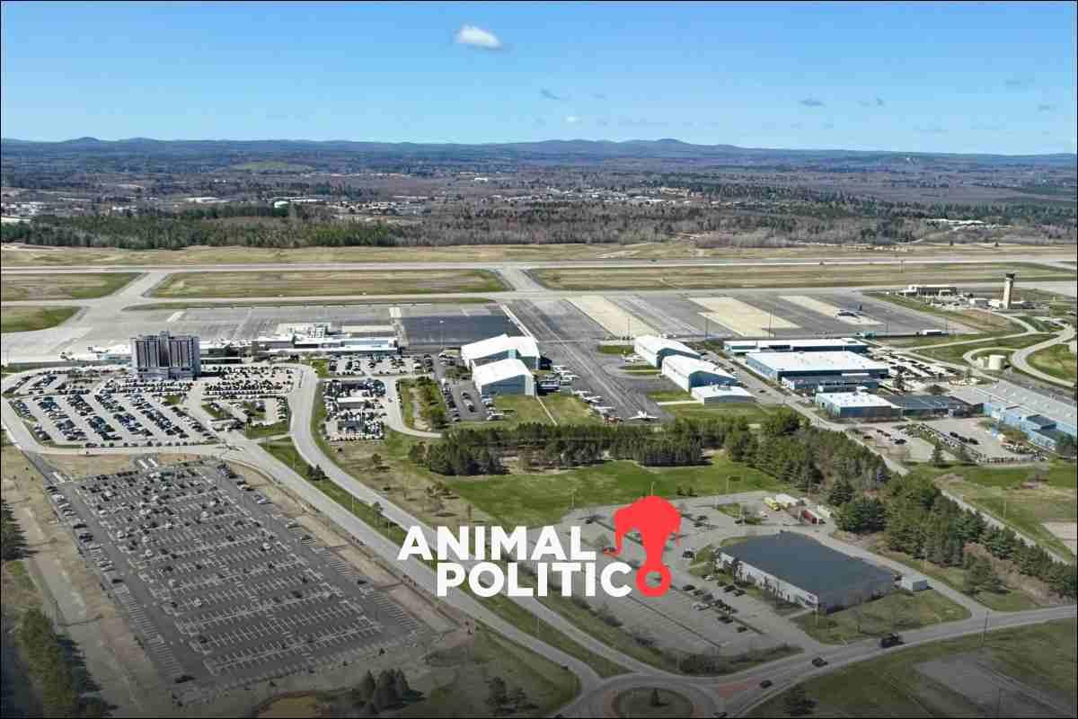 Se estrella avión privado en aeropuerto de Maine, EU, con ocho personas a bordo: FAA