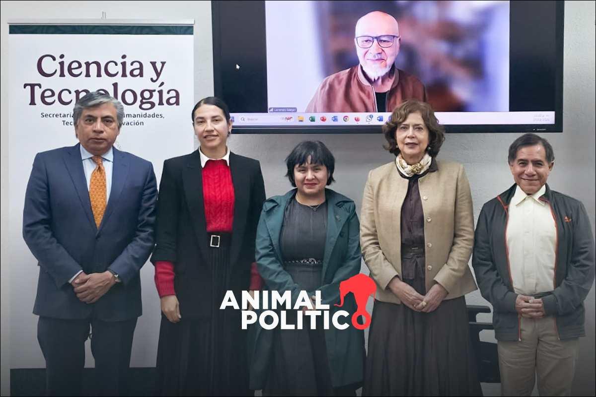 Presentan a Lucero Ibarra como nueva directora del CIDE ante el Consejo Directivo; Romero Tellaeche rechaza su destitución