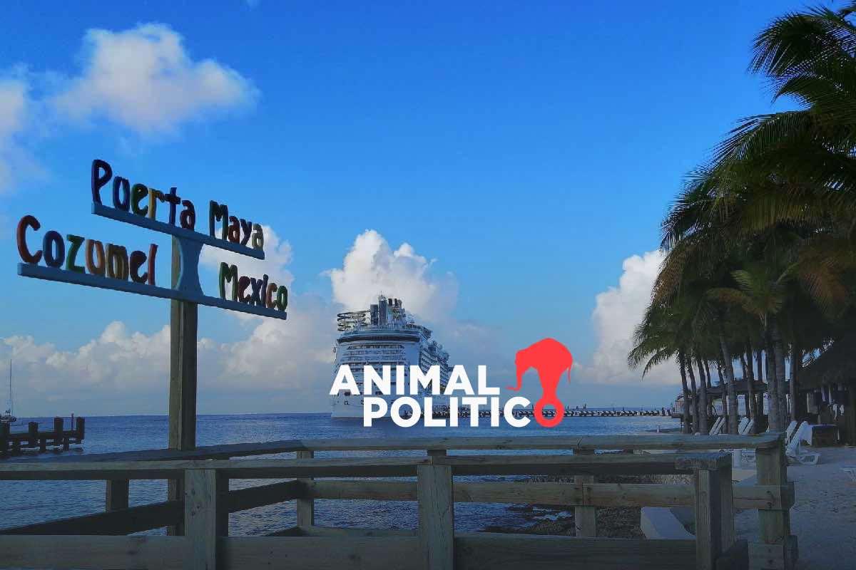 Contaminación y pérdida de flora y fauna: los 15 impactos ambientales del nuevo proyecto de Royal Caribbean en Cozumel