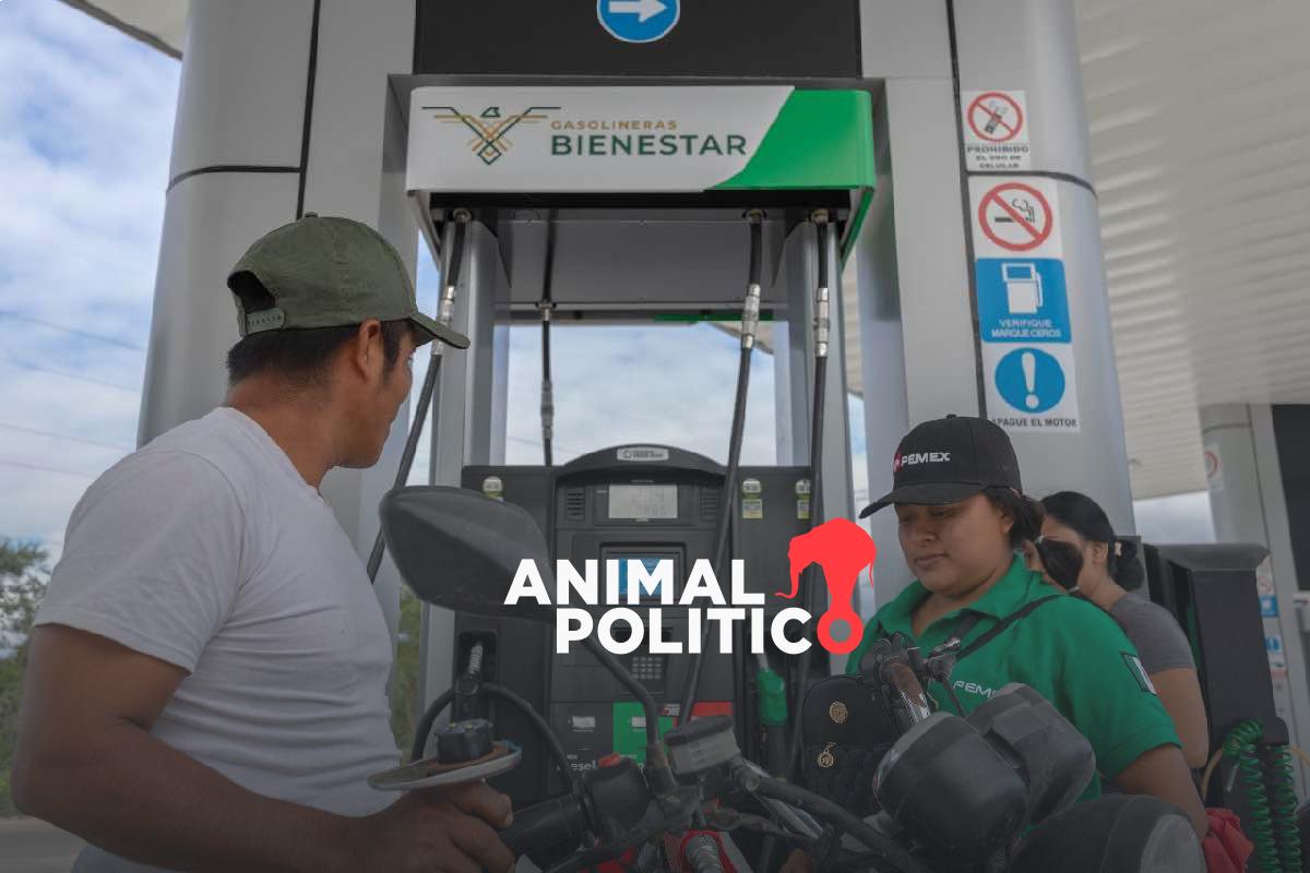 Sin experiencia en sector energético, la mitad de los directivos de Gasolinas Bienestar