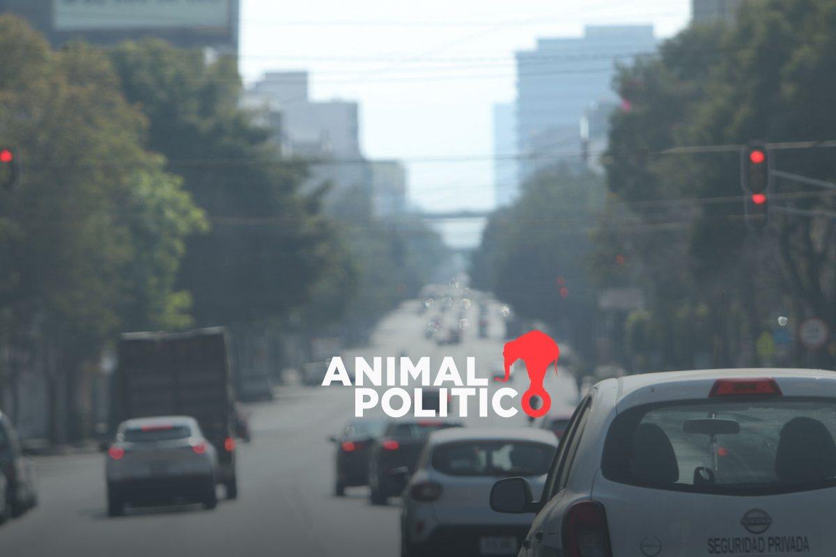 Sancionan a 341 automovilistas durante contingencia ambiental; la mayoría incumplió el No Circula