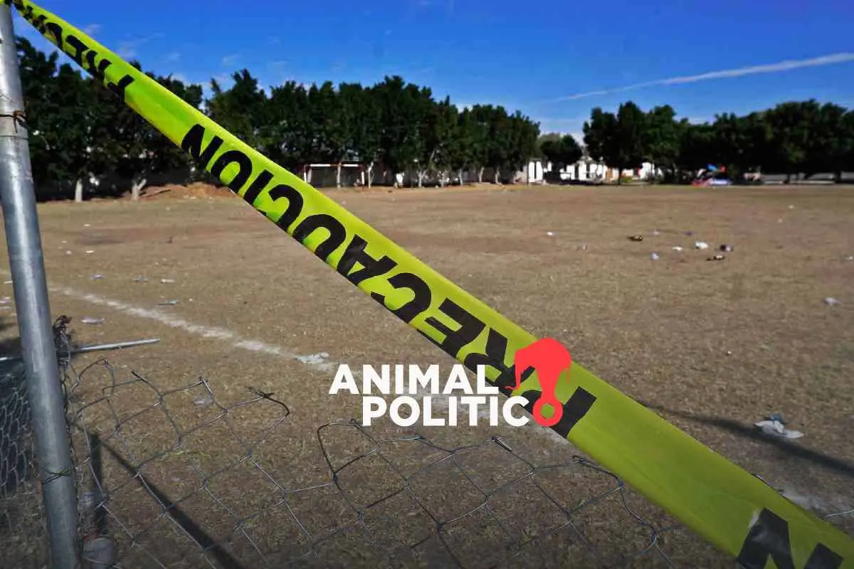 La guerra por el cristal, el control del territorio y la disputa entre cárteles: los antecedentes de la masacre en Salamanca