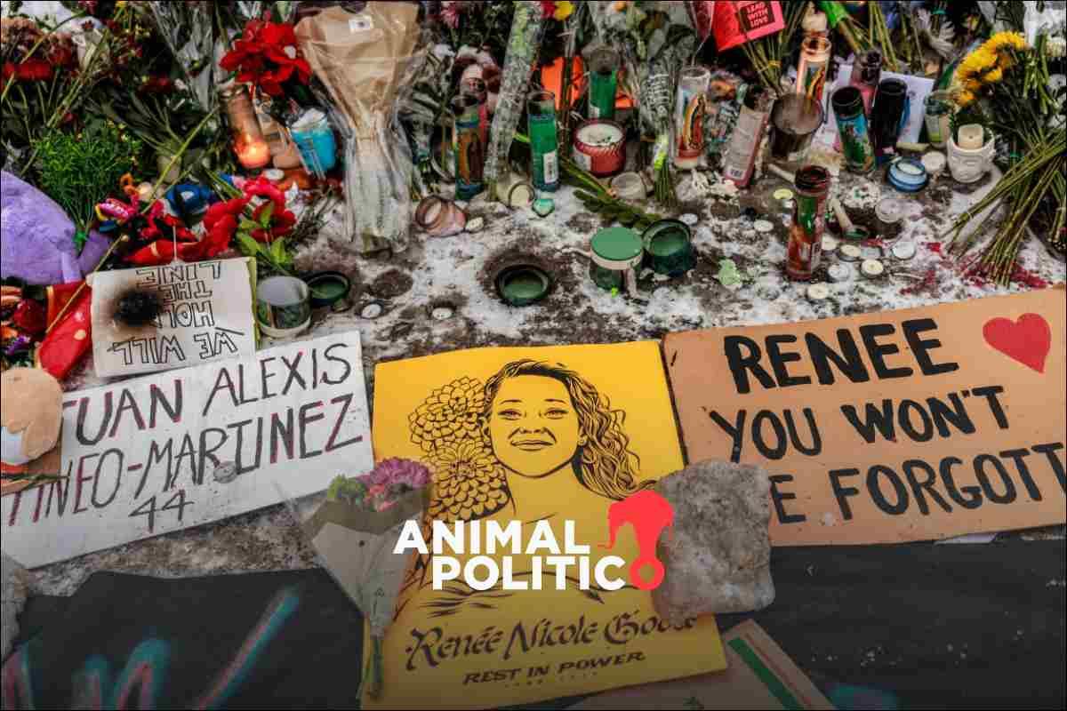 De “terrorismo interno” a “narrativa falsa”: la muerte de una mujer a manos de agente del ICE profundiza el choque político en EU