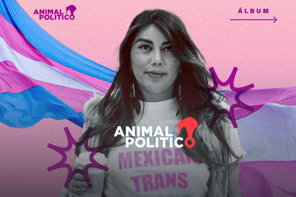 4 años del intento de transfeminicidio de Natalia Lane: buscar justicia entre revictimización y violencia institucional