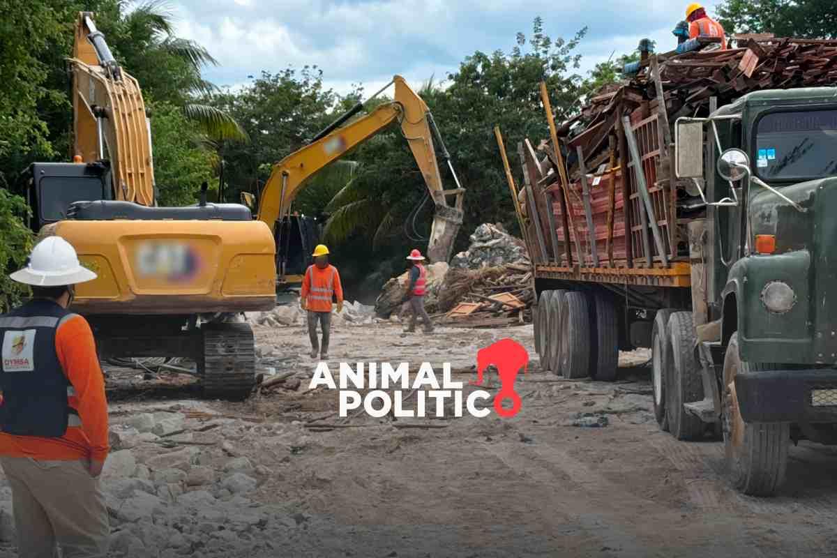 Profepa clausura el proyecto “Perfect Day Mahahual”, en Quintana Roo, por la realización ilegal de obras