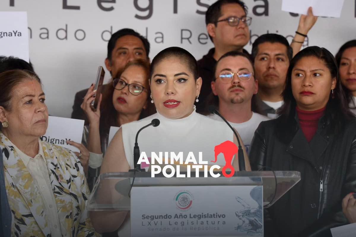 “Este año se va a lograr”: Ley Trasciende, la lucha de Samara por legalizar la eutanasia en México