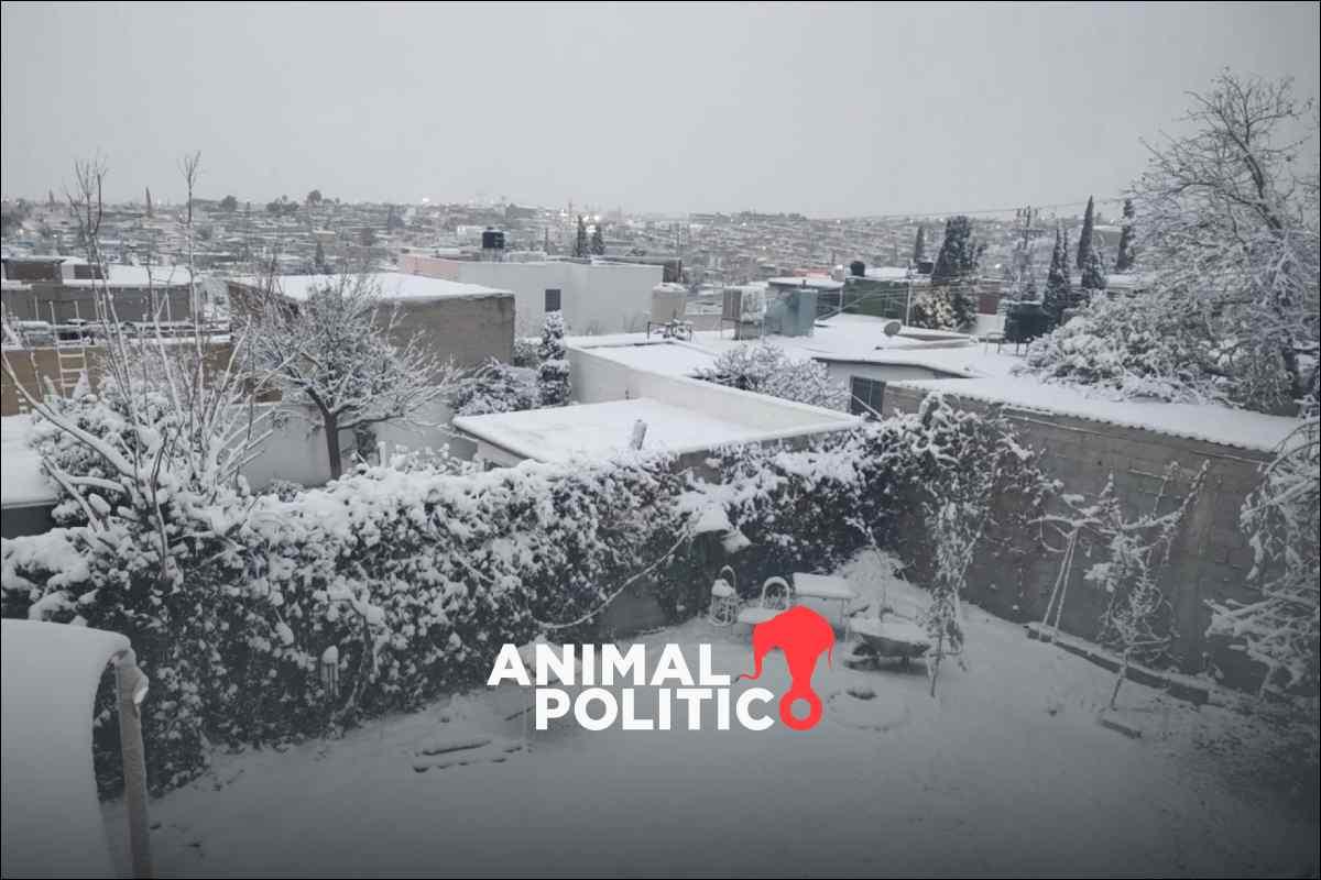 México se prepara ante riesgo de otra crisis de gas por tormenta invernal en Texas; CFE alista medidas para evitar afectaciones