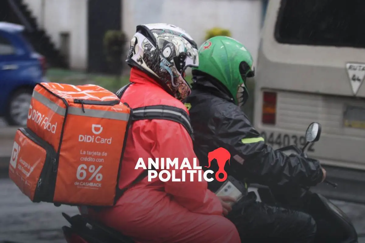 Ganarse la vida entre desigualdades: trabajadoras de plataformas digitales enfrentan violencia y barreras de género