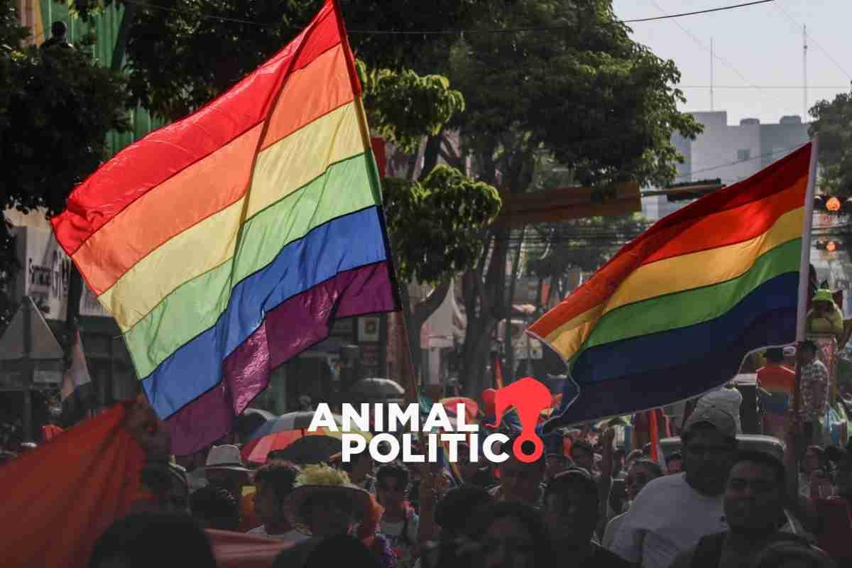Violencia contra personas LGBT+ en México bajó en 2025, pero la mayoría de los casos permanecen impunes