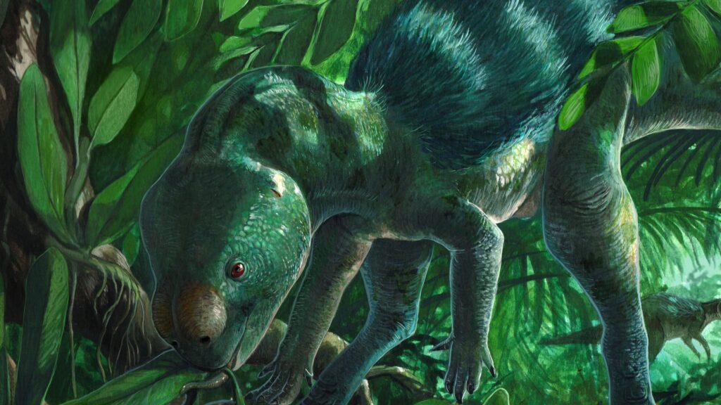 Identifican dinosaurio del tamaño de un pollo que ayuda a explicar cómo surgieron los gigantes prehistóricos