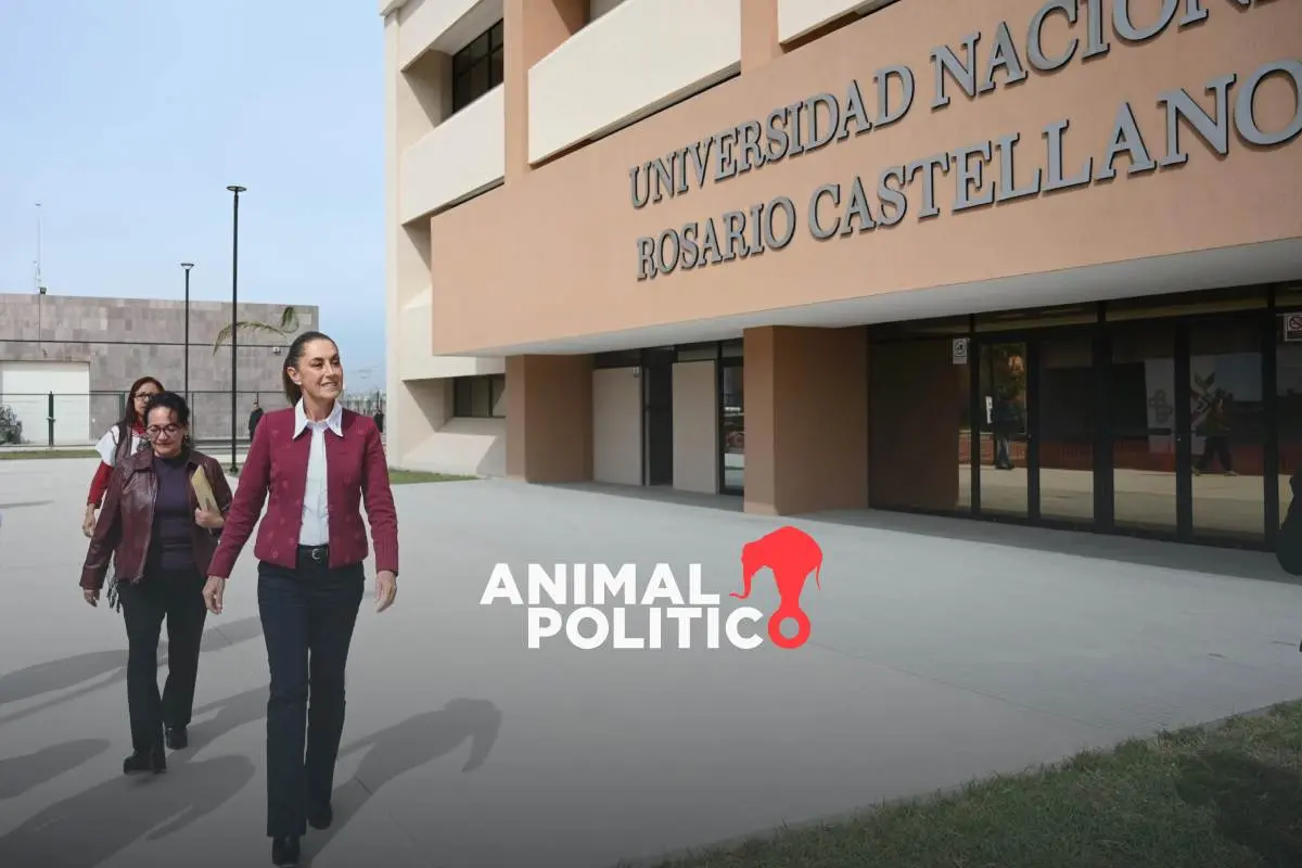 Sheinbaum anuncia beca Gertrudis Bocanegra para estudiantes de la Universidad Rosario Castellanos: estos son los requisitos