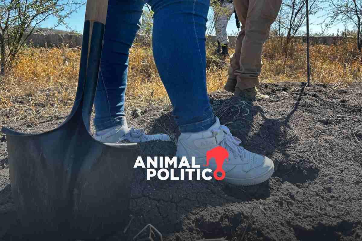 Colectivo “Hasta Encontrarte” suspende búsquedas de personas desaparecidas en Irapuato, Guanajuato, por violencia