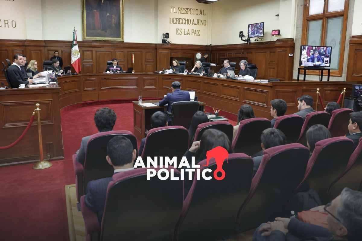 Corte fija nuevos criterios para juzgar desaparición forzada de mujeres, tras “choque” por cifras y definición