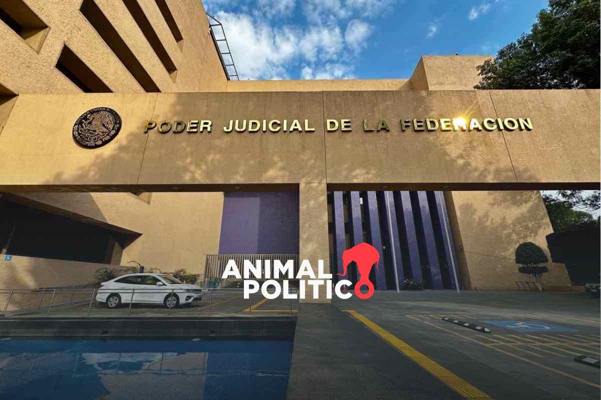 OAJ refuerza seguridad en el Poder Judicial tras muerte de “El Mencho”; respalda posible suspensión de labores el lunes