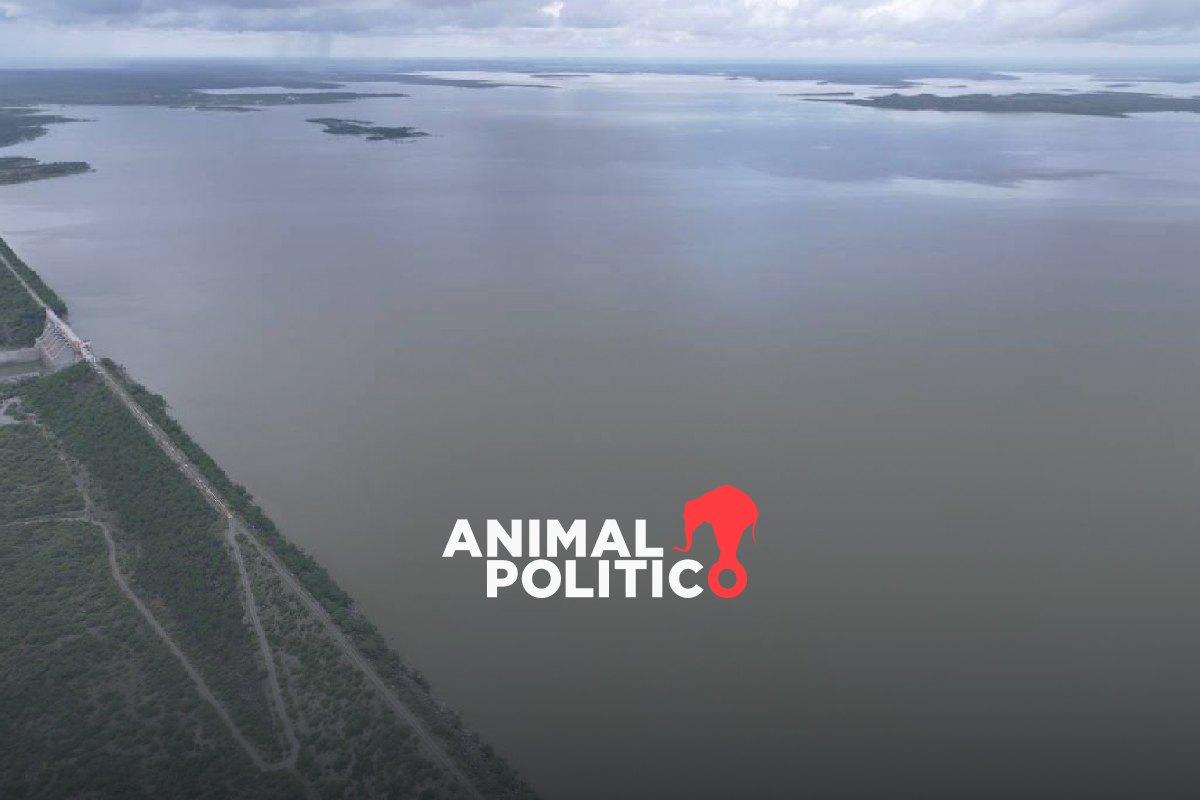 Productores de Tamaulipas se quedarían sin agua por pago adelantado a EU: Consejo Estatal Agropecuario