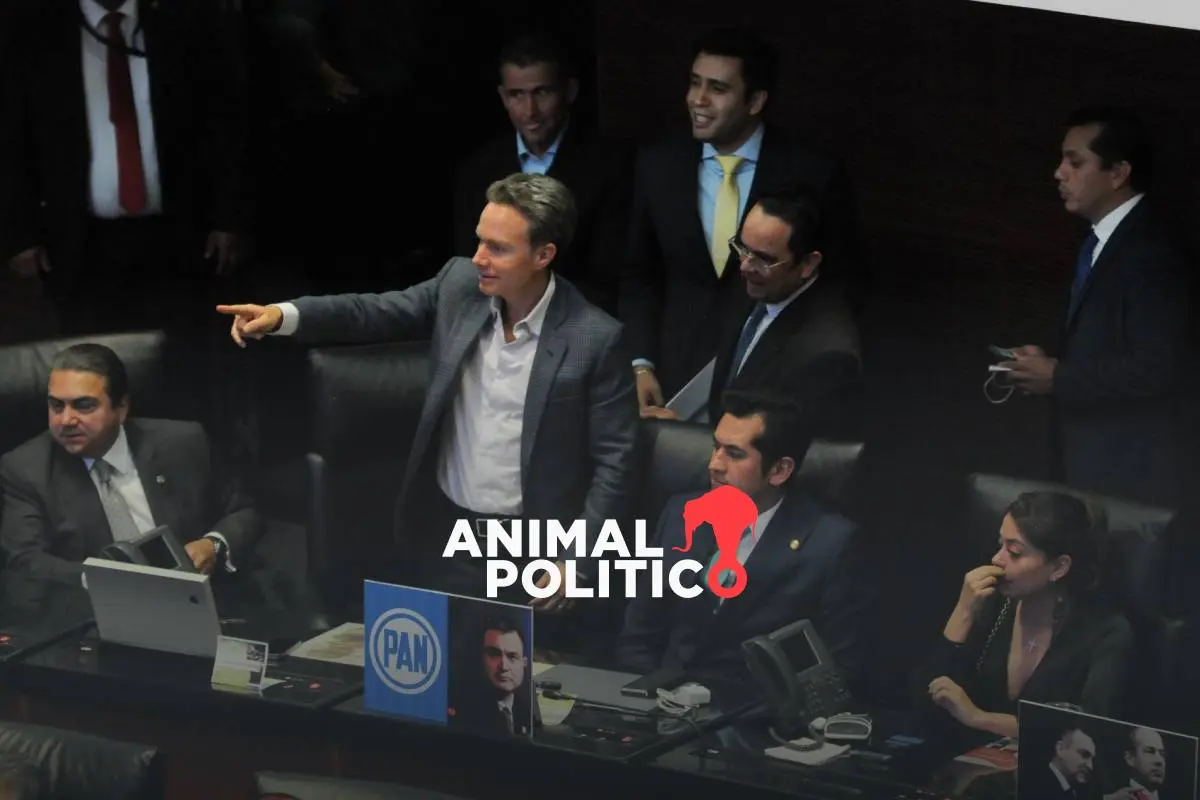 Reforma electoral de Sheinbaum divide al Partido Verde y al oficialismo en el Senado