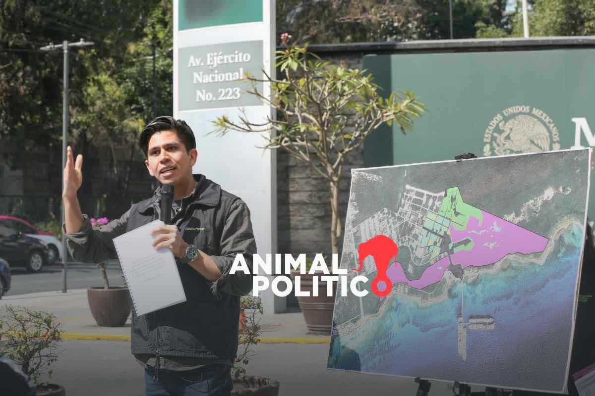 Semarnat se compromete a consulta pública en Mahahual; el proyecto Perfect Day dañaría manglares, alerta análisis de Greenpeace