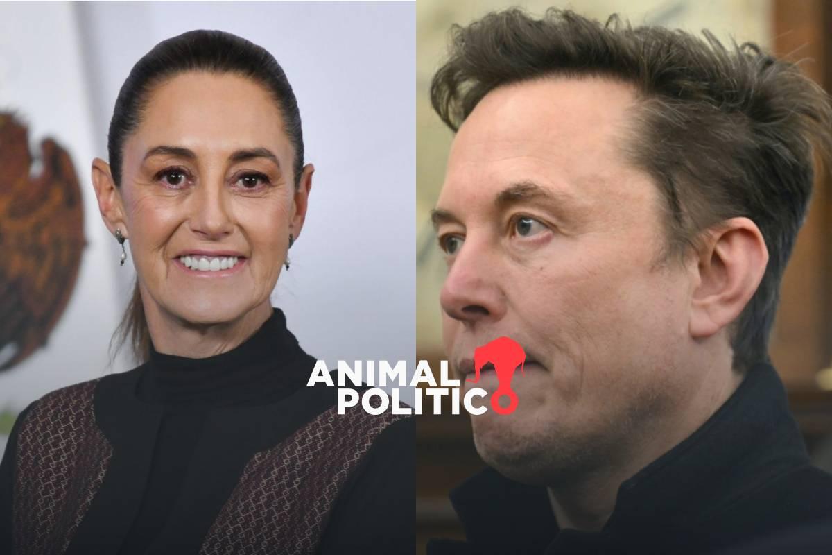“Como político es muy buen empresario”: Sheinbaum aún evalúa demanda contra Elon Musk
