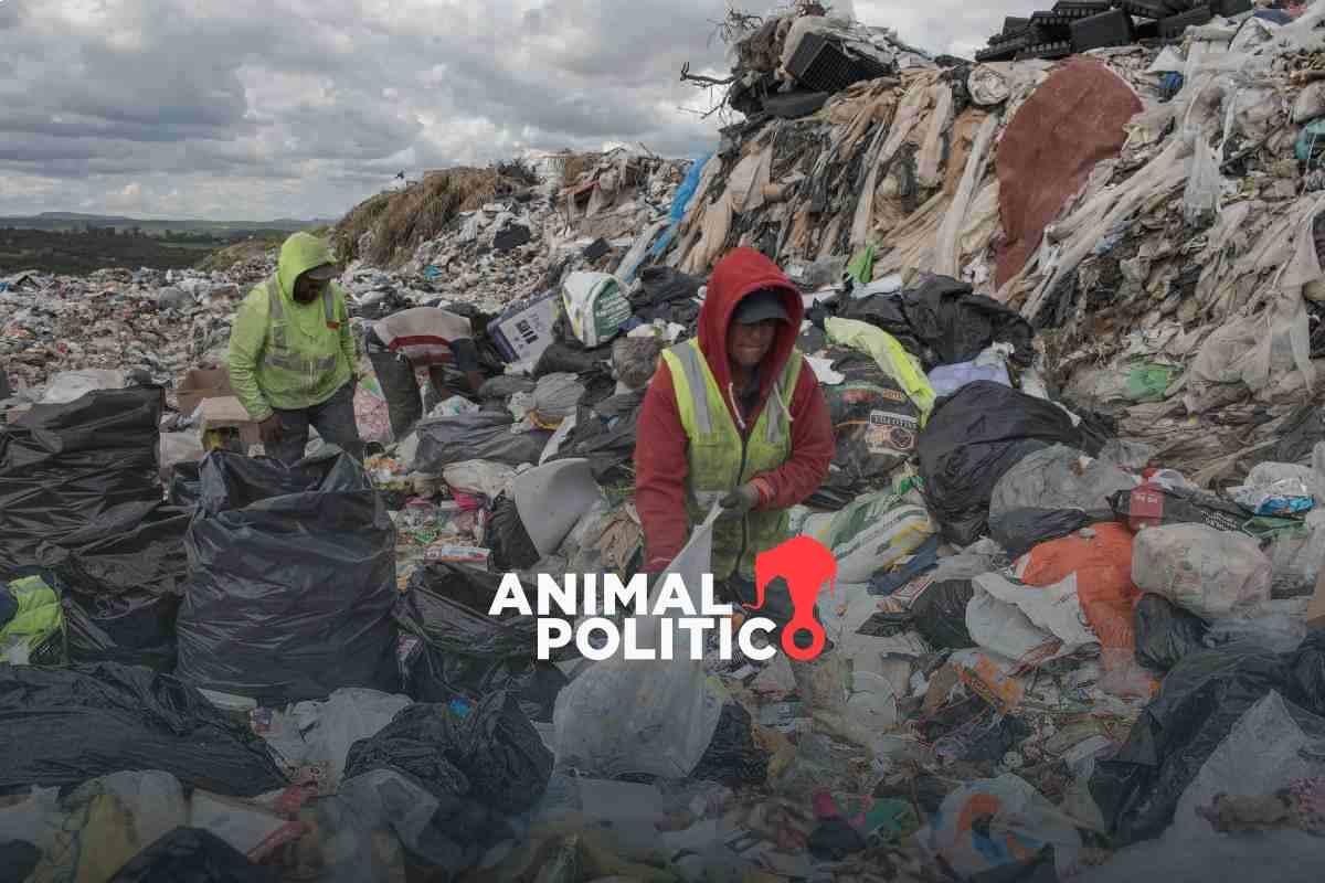 “También somos importantes”: personas pepenadoras celebran Ley de Economía Circular que les nombra por primera vez