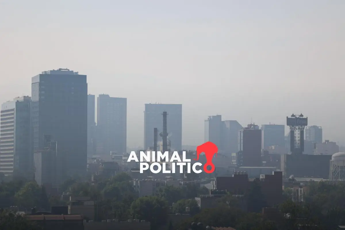 Activan contingencia ambiental por ozono en el Valle de México; estos autos no circulan mañana 13 de febrero
