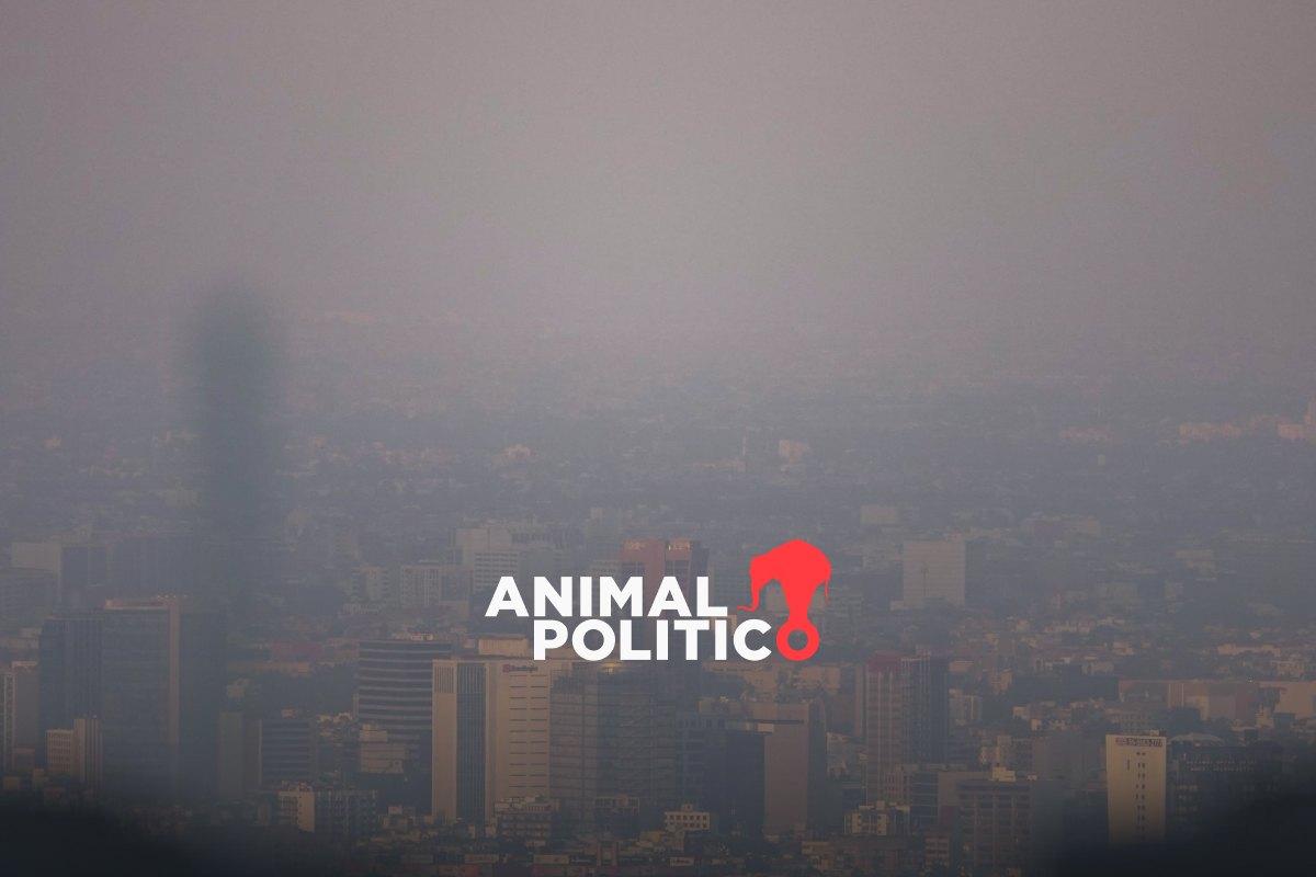 Contingencia en el Valle de México: estos autos no circulan el sábado 14 de febrero