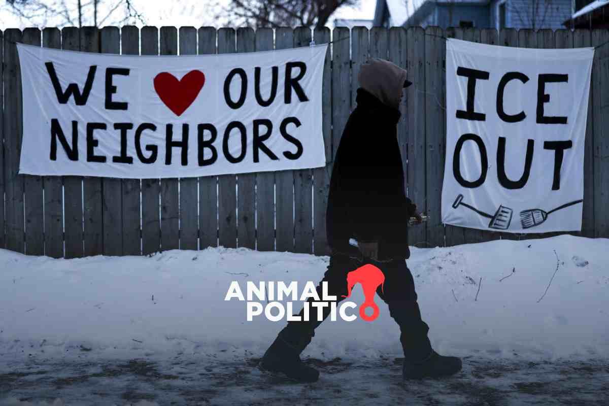 Estudiantes inmigrantes en Mineápolis recurren a clases virtuales por temor a ser deportados