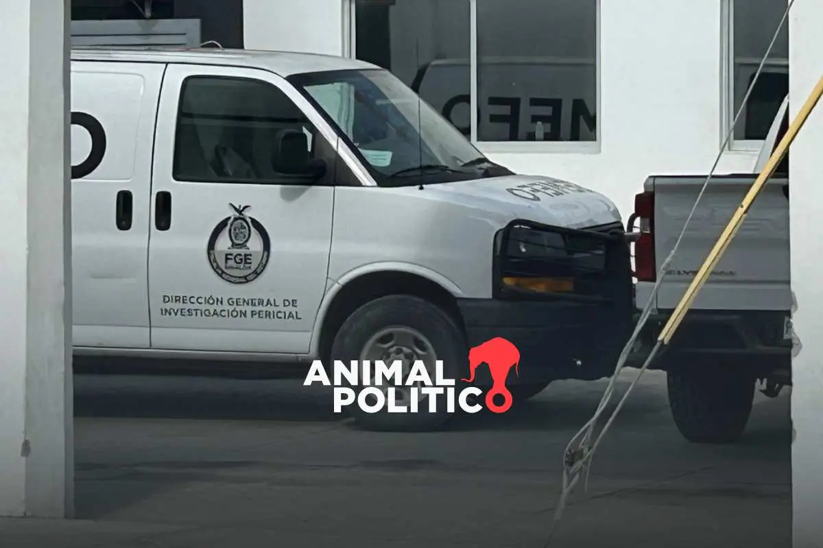 FGR exhuma más restos humanos en fosa de Concordia, Sinaloa; suman más de 14 cuerpos