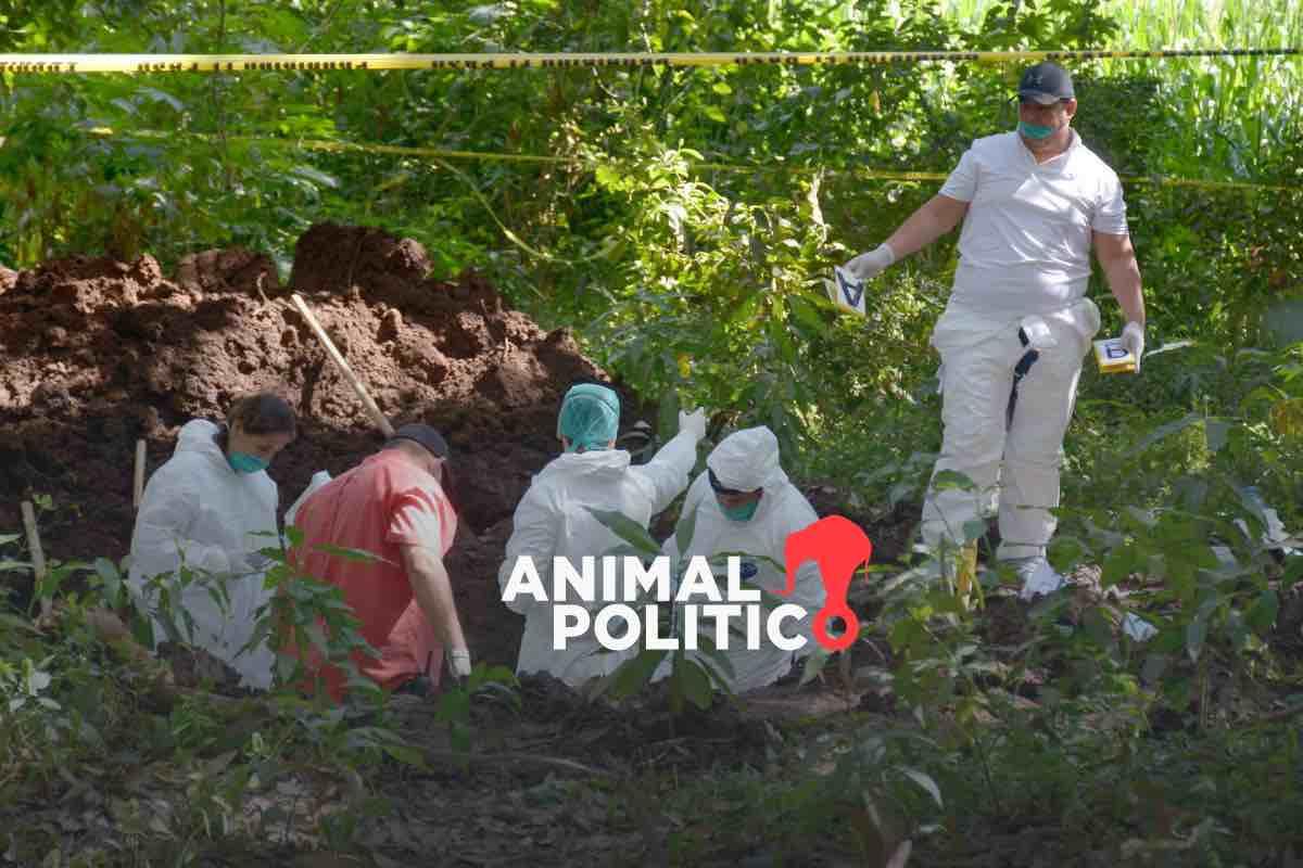 Plataforma ciudadana documenta más de 2 mil cuerpos exhumados; FGR adeuda Registro Nacional de Fosas