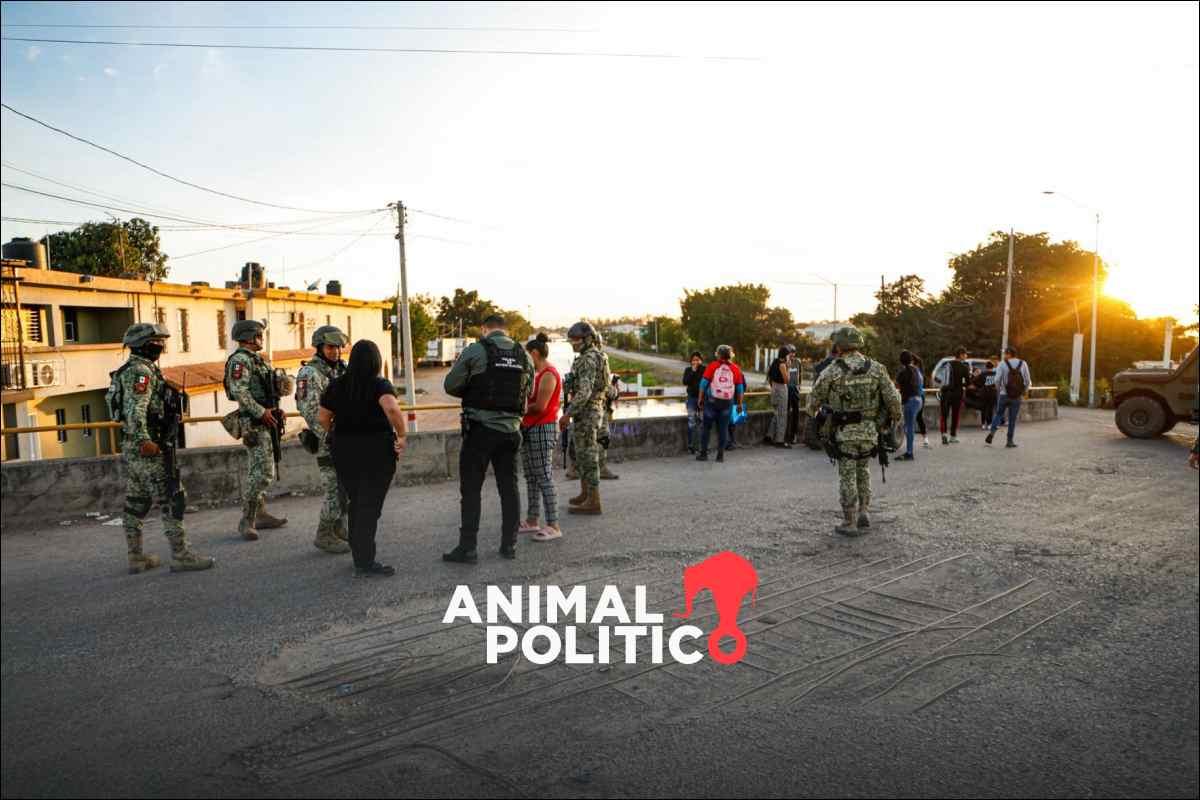 Gobierno federal reporta caída de 50% en homicidios y más de 2 mil 200 detenciones de alto impacto en Sinaloa