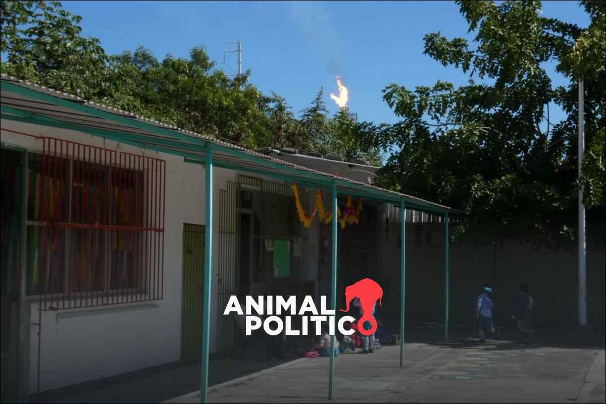 Padres marcharán este lunes por escuelas en riesgo junto a refinería Dos Bocas; acusan intento de cierre sin reubicación