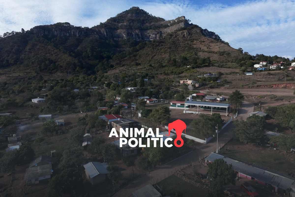 Encuentran una segunda fosa clandestina en la comunidad de El Verde, en Concordia, Sinaloa