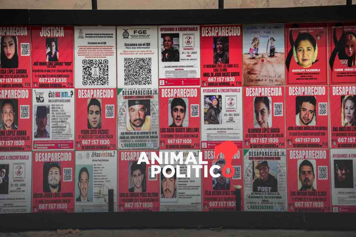 ¿Qué pasó con los mineros desaparecidos en Concordia?: fosas clandestinas, exigencia de colectivos y versiones encontradas