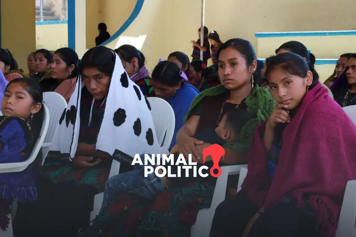 Violencia agrava desplazamiento forzado: Chihuahua, Guerrero, Michoacán, Chiapas, Sinaloa y Quintana Roo los estados más afectados