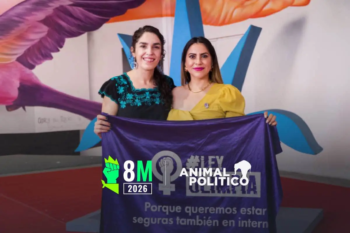 “Todas somos potenciales víctimas”: el cine de Indira Cato y la historia de Olimpia frente a las cifras de ciberacoso en México