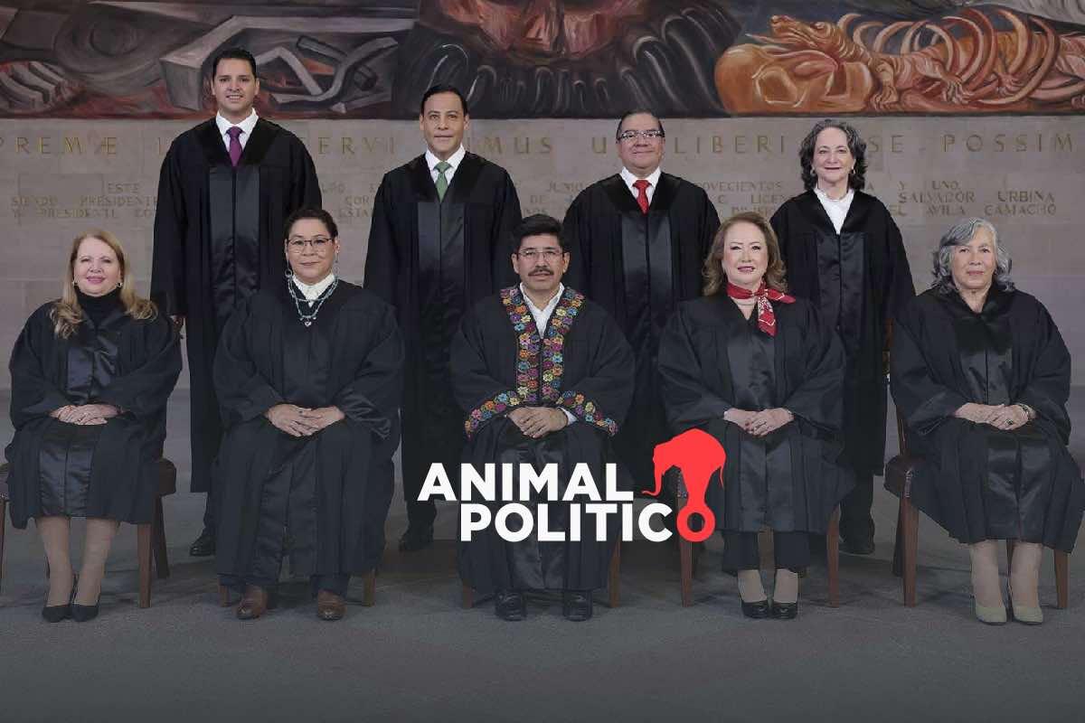 Primeros seis meses de la nueva Suprema Corte: iniciativas históricas, proyectos polémicos y protestas ciudadanas