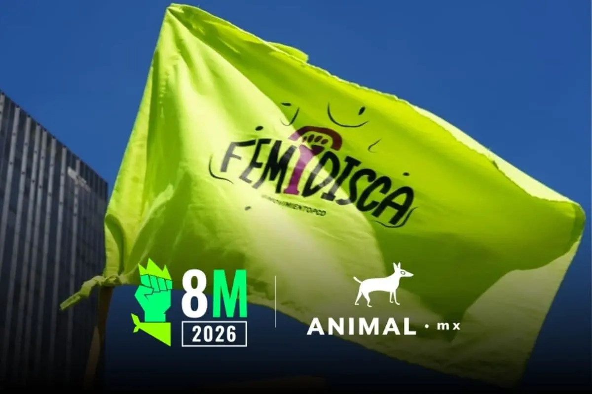 Invisibilización e indiferencia: la violencia que enfrentan las mujeres con discapacidad en México