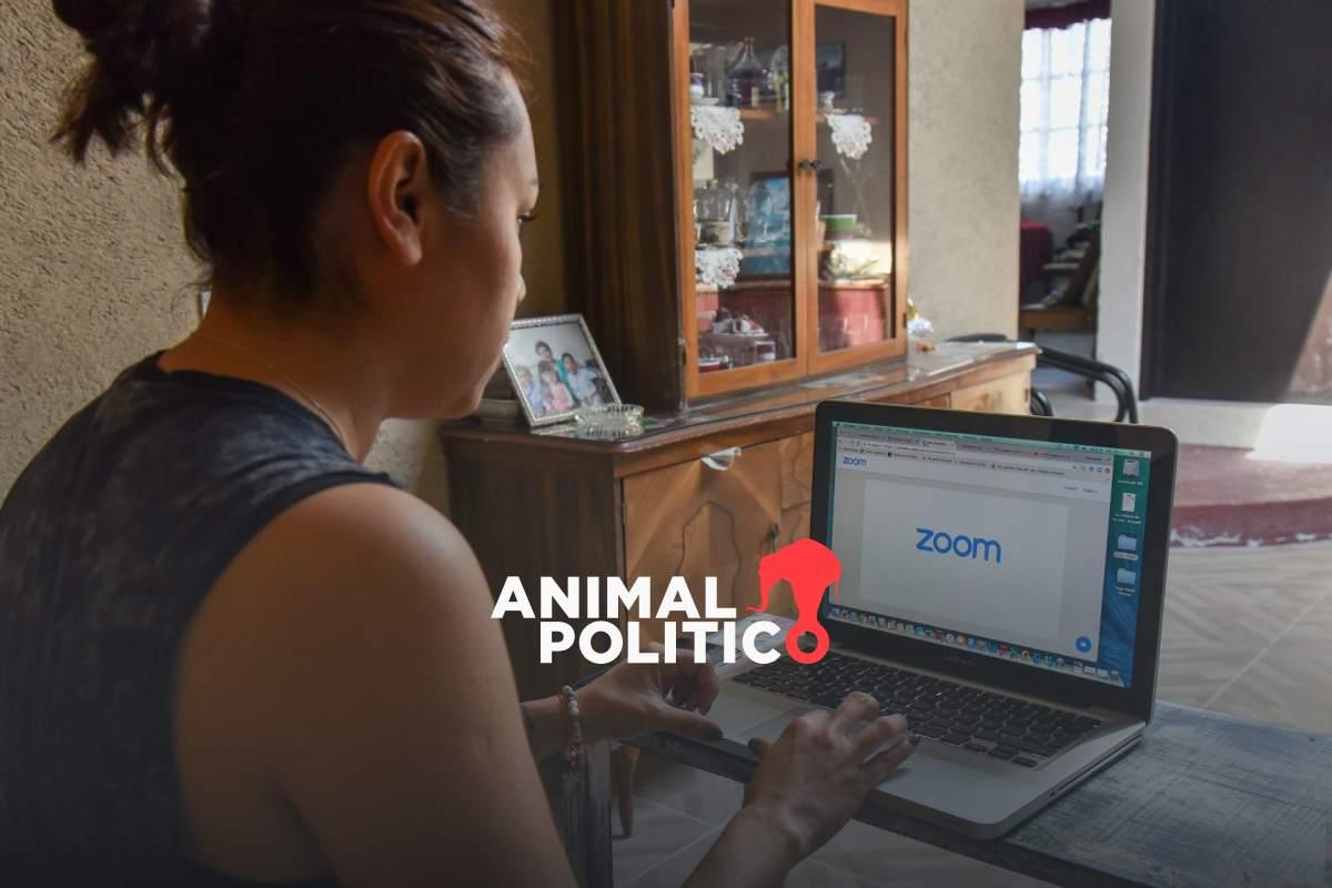 Así puedes obtener un duplicado de tu certificado de primaria o ...