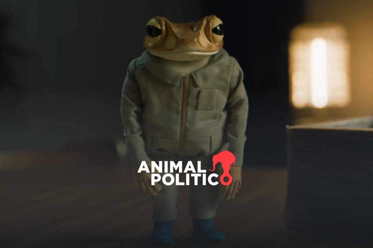 La historia de Concho, el sapo en peligro que aparece en el nuevo álbum ...